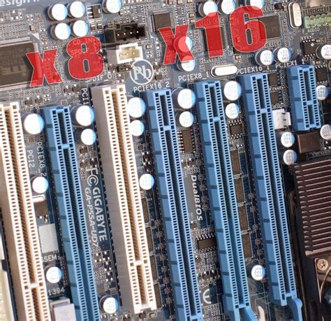 gpu pcie x16 vs x8.
